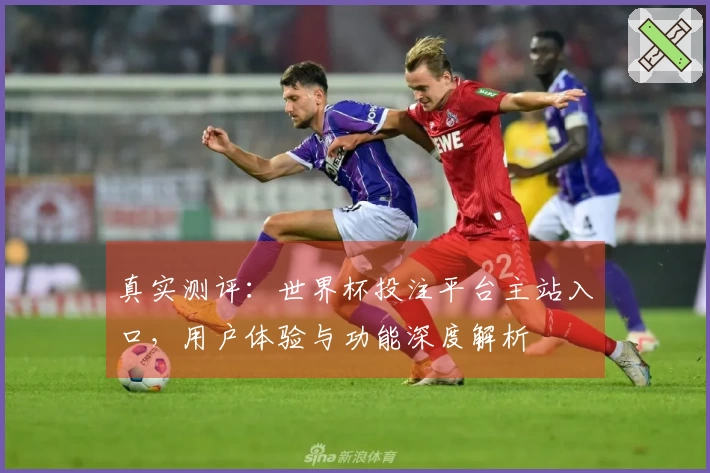 真实测评:世界杯投注平台主站入口,用户体验与功能深度解析