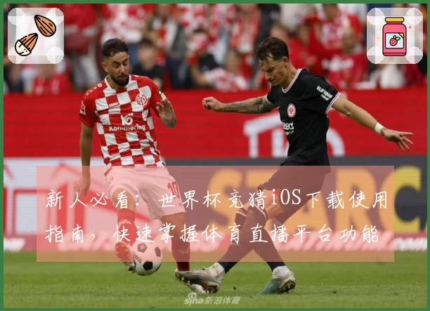 新人必看：世界杯竞猜iOS下载使用指南，快速掌握体育直播平台功能与体验