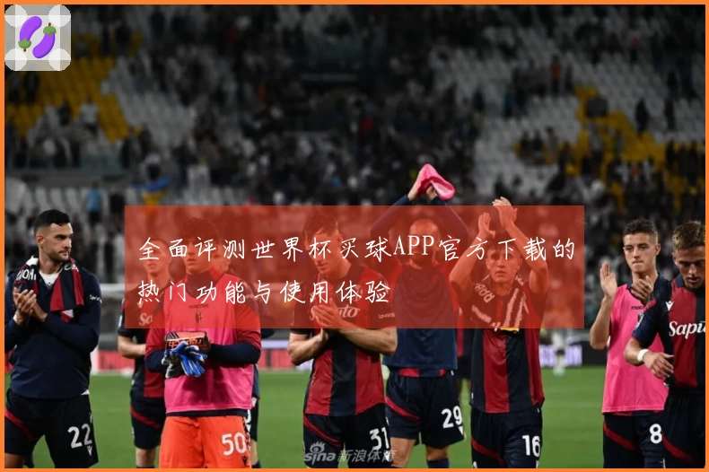 全面评测世界杯买球APP官方下载的热门功能与使用体验