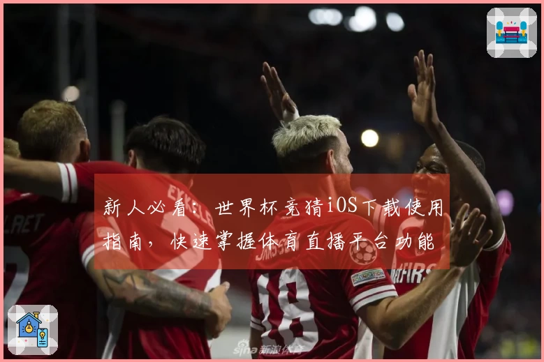 新人必看:世界杯竞猜iOS下载使用指南,快速掌握体育直播平台功能与体验