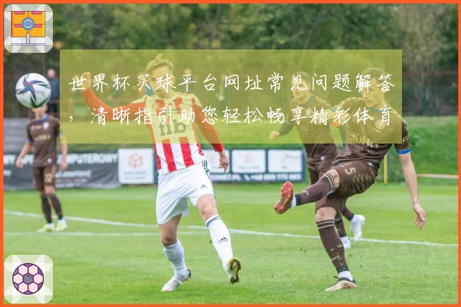 世界杯买球平台网址常见问题解答，清晰指引助您轻松畅享精彩体育赛事