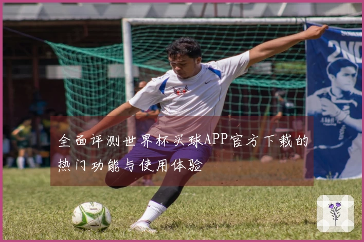 全面评测世界杯买球APP官方下载的热门功能与使用体验