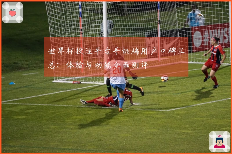 世界杯投注平台手机端用户口碑汇总：体验与功能全面测评