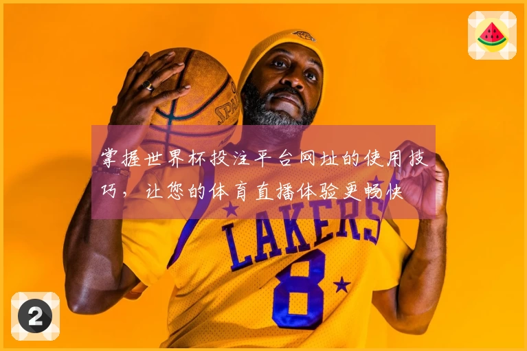 掌握世界杯投注平台网址的使用技巧，让您的体育直播体验更畅快