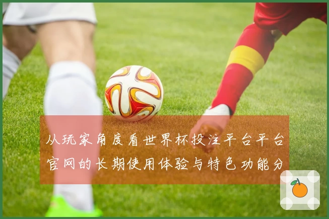 从玩家角度看世界杯投注平台平台官网的长期使用体验与特色功能分析