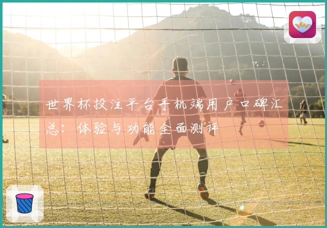 世界杯投注平台手机端用户口碑汇总：体验与功能全面测评